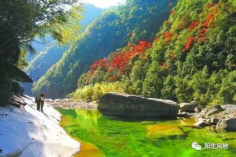 心疼是怎么回事？一点力气都不能出